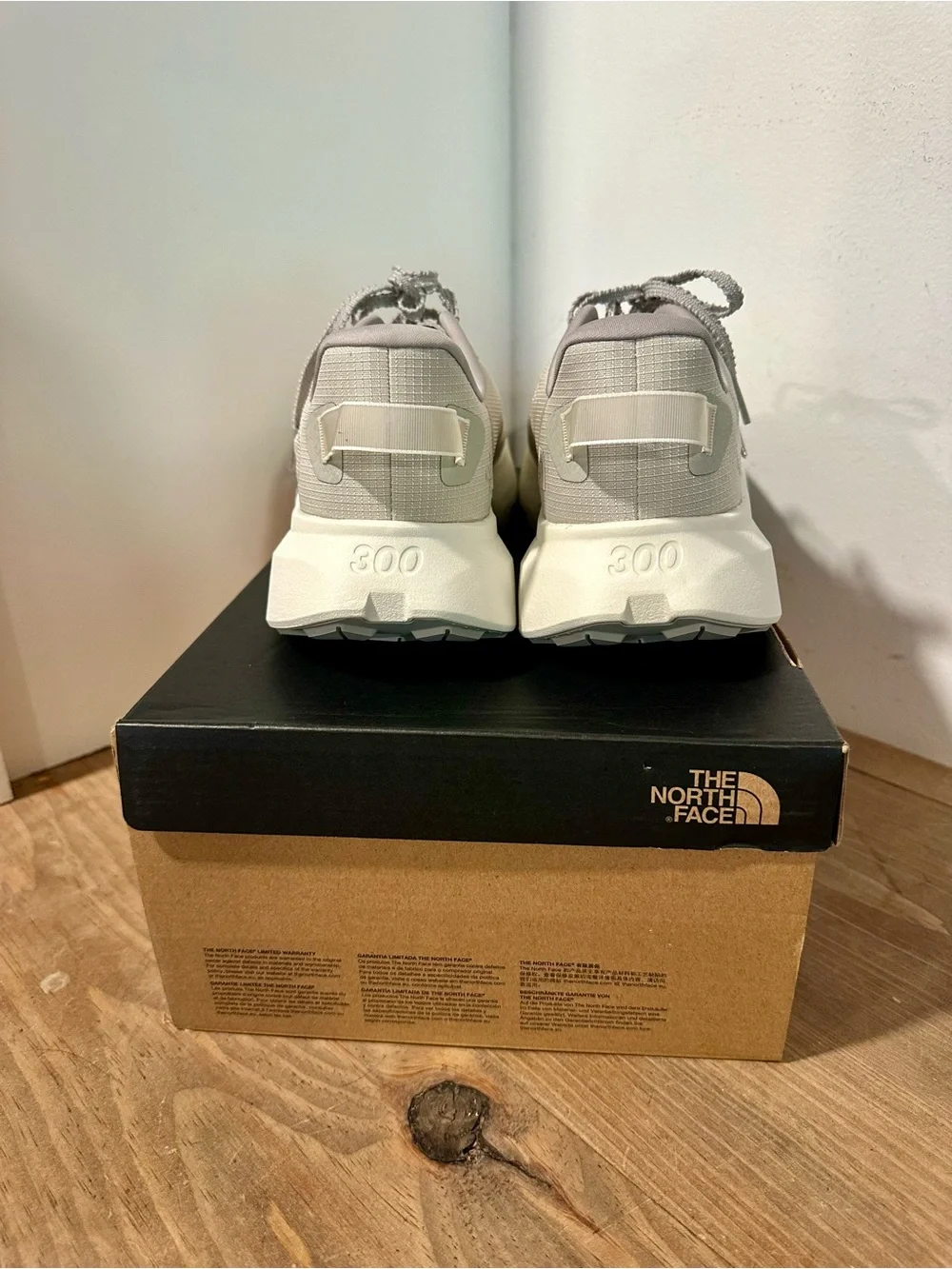 The North Face Men's Altamesa 300 V2 Shoes